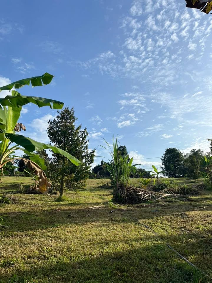 Đất vườn 5 sào tại Ngọc Định, Định Quán - Giá chỉ 1.75 tỷ, cơ hội hiếm có!