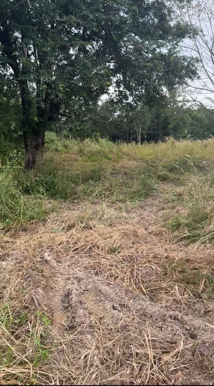 Đất thổ cư 400m² tại Thôn 2 Nam Dong, Lâm Đồng - Giá 960 triệu, thương lượng!