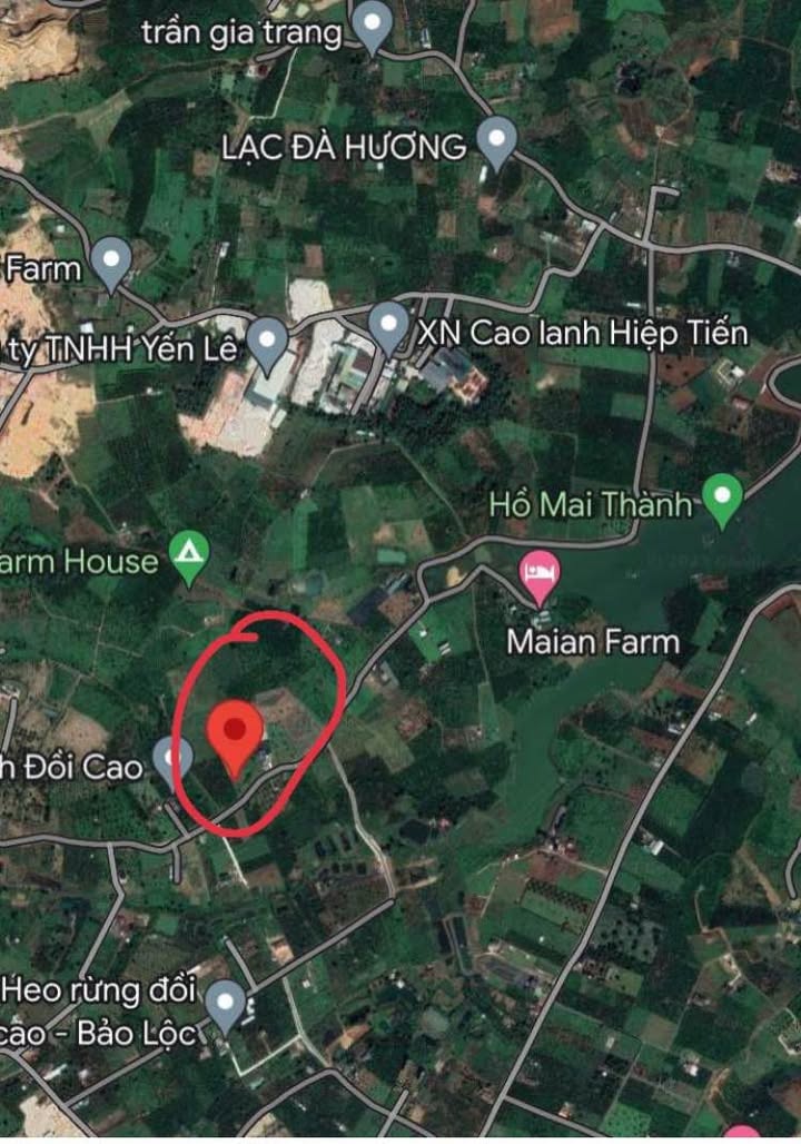 Đất mặt tiền Lộc Châu Bảo Lộc 1000m² giá 3.5 tỷ - Cơ hội đầu tư vàng!