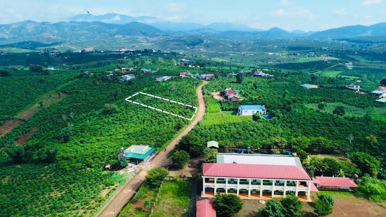 Đất nền Phúc Thọ, Lâm Hà 1000m² giá 699 triệu - Đầu tư sinh lời ngay!