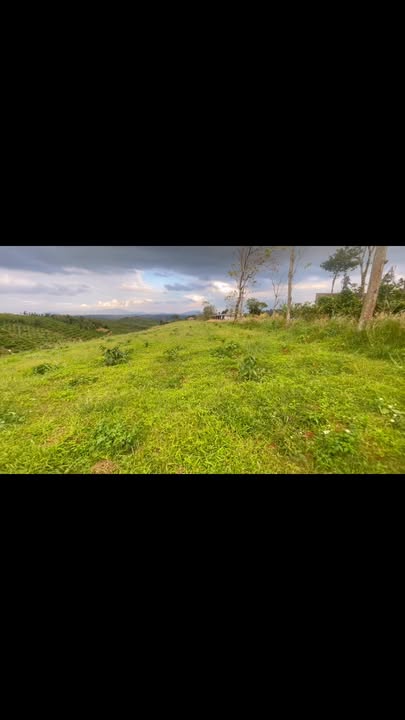 Đất nền Đắk Ndrung 5,6ha - Sổ hồng chính chủ, thuận tiện đầu tư!