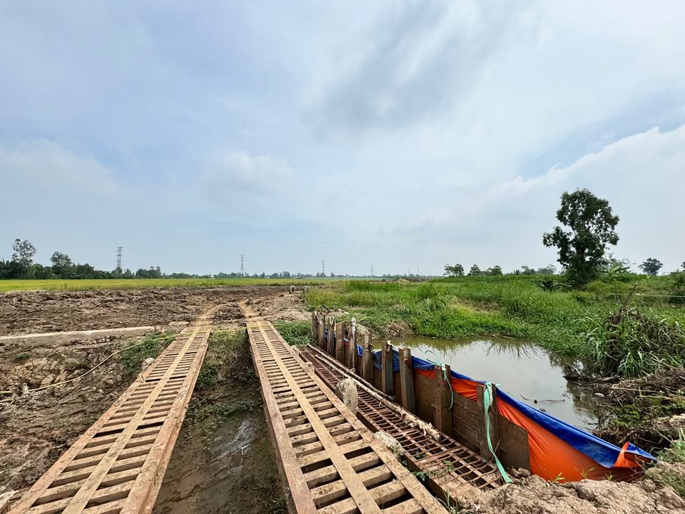 Đất Lúa 222m² Tỉnh Lộ 864, Đồng Tháp - Đầu tư lâu dài chỉ 500 triệu!