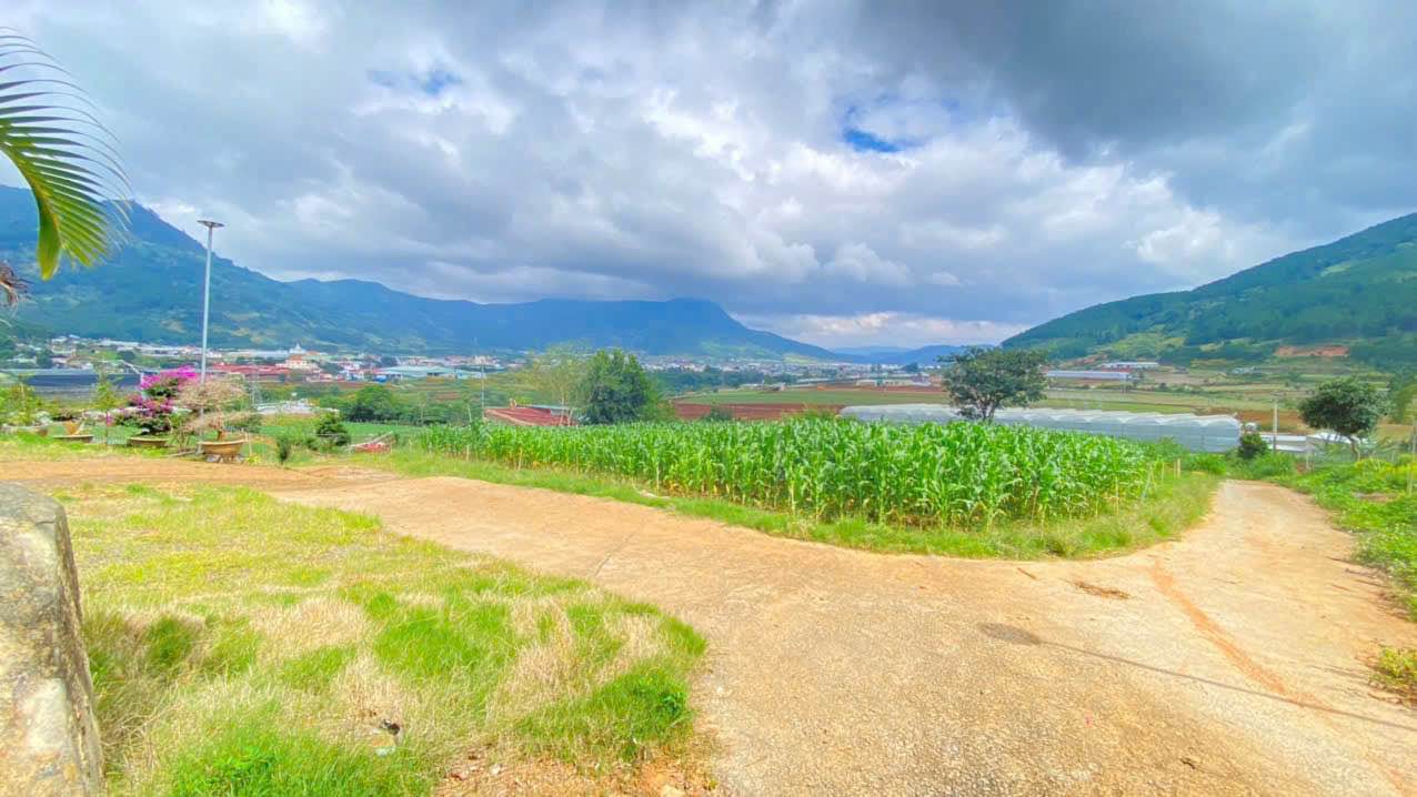 Đất nền Hiệp An, Đức Trọng 1000m² giá chỉ 2.5 tỷ - Đầu tư lý tưởng!