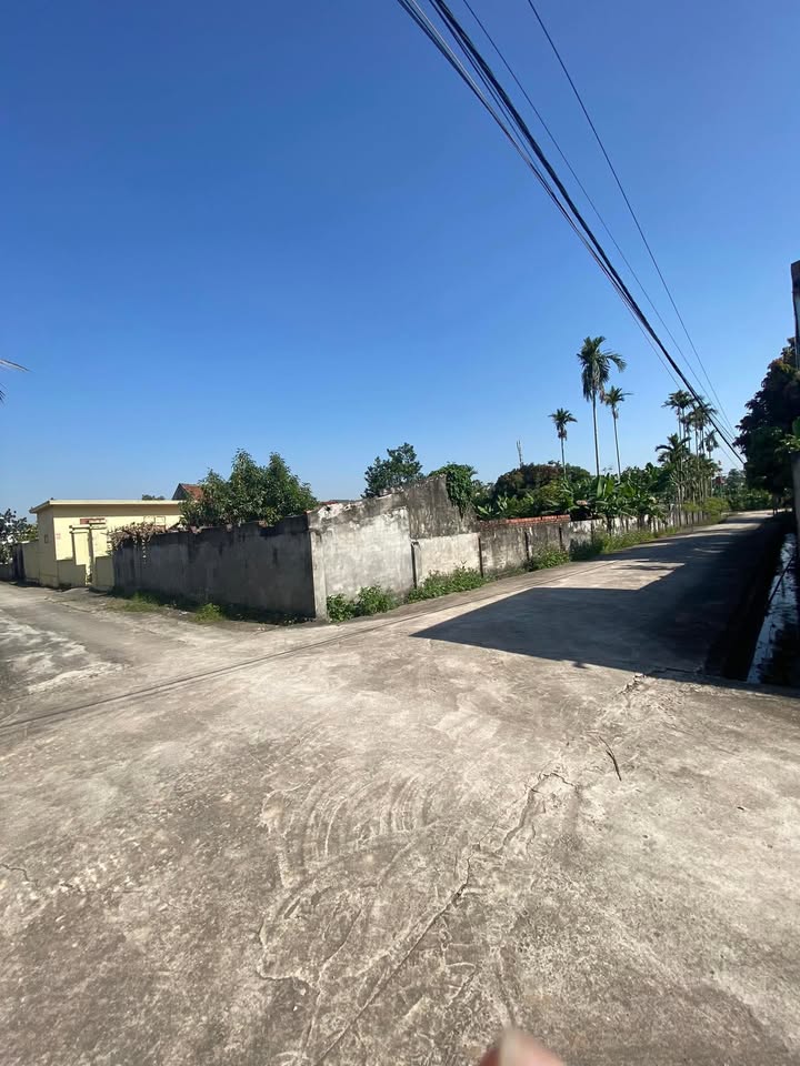 Đất nền Trấn Dương, Vĩnh Bảo 800m² - Gần đường nhựa đẹp, thuận tiện giao thông!