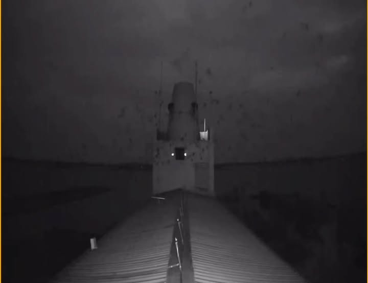 Nhà yến Châu Thành, An Giang 300m² giá 4.8 tỷ - Đầu tư sinh lời ngay!