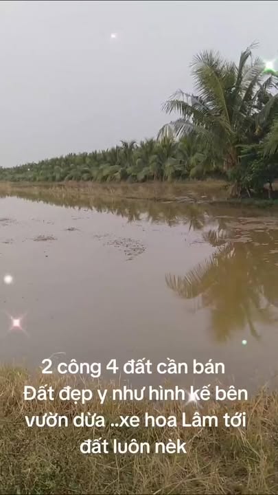 Đất nền Mỹ Nhơn, Ba Tri, Bến Tre 2400m² giá 312 triệu - Cơ hội đầu tư hấp dẫn!