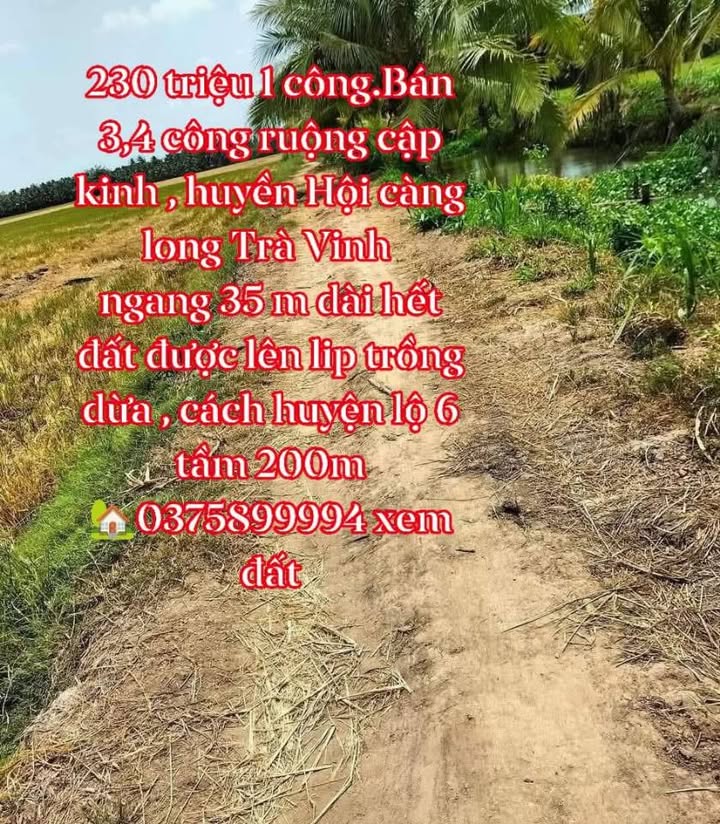 Đất nền Huyền Hội Càng Long 1.36ha giá chỉ 230 triệu - Cơ hội đầu tư tuyệt vời!