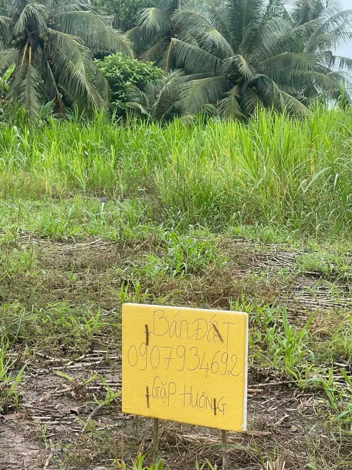 Đất nền ấp Định Phú A, xã Long Thới, 2209m² - Giá thương lượng hấp dẫn!