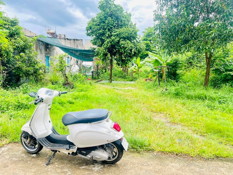 Đất nền Trảng Dài 120m² giá 1.19 tỷ - Sổ riêng chính chủ, hướng Bắc!