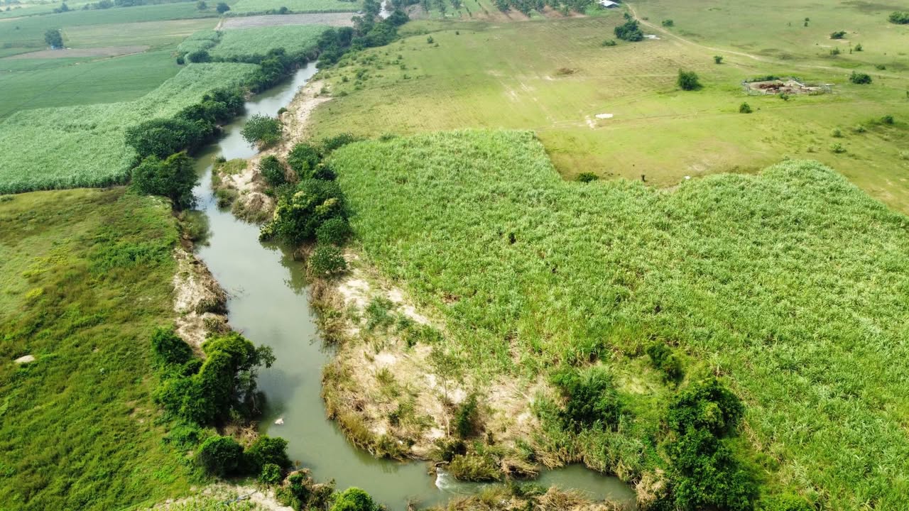 Farm 7ha tại Quảng Sơn, Ninh Sơn - Giá chỉ 1.35 tỷ, cơ hội đầu tư tuyệt vời!