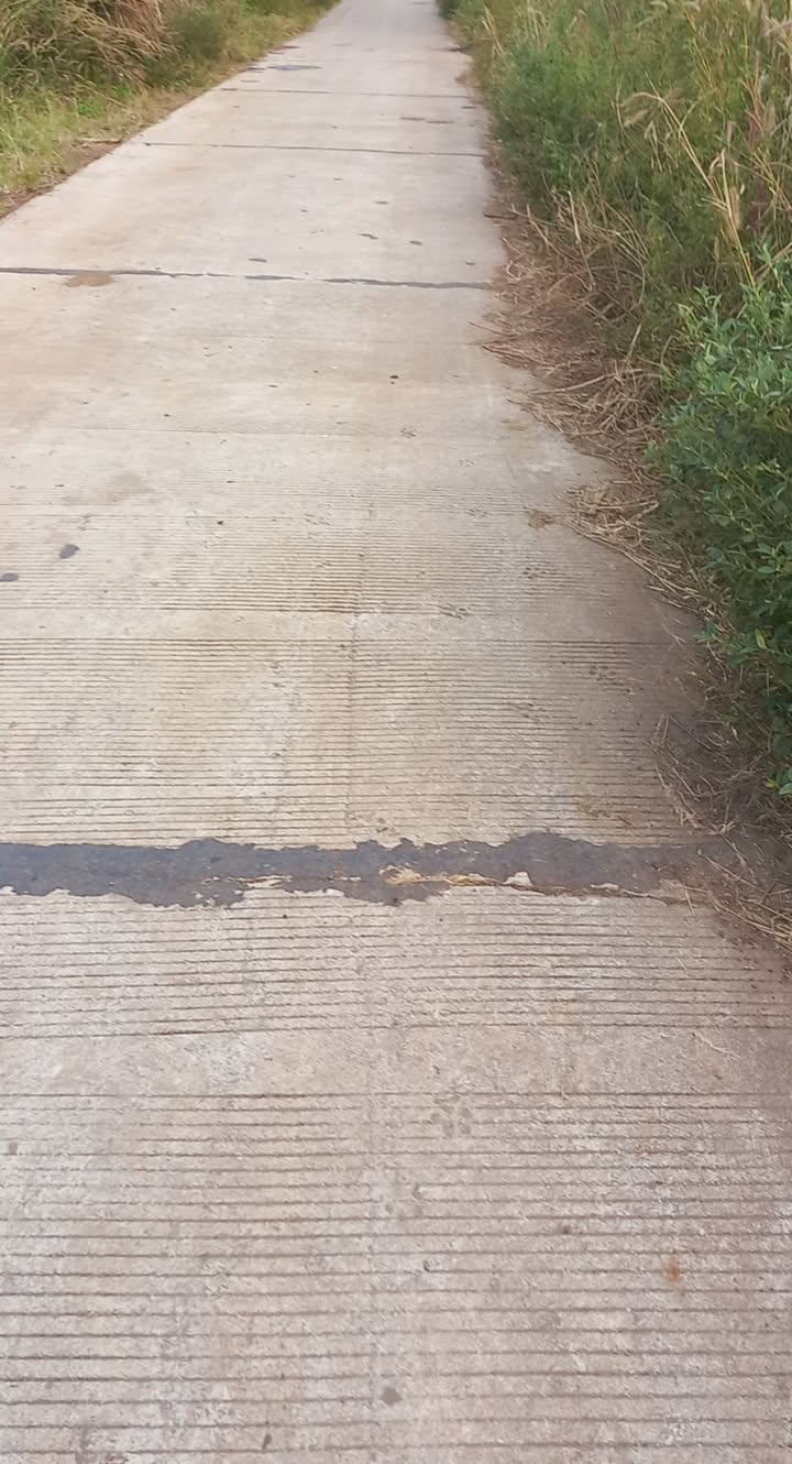 Đất nền Ea M'Droh 1060m² giá chỉ 195 triệu - Cơ hội đầu tư tuyệt vời!