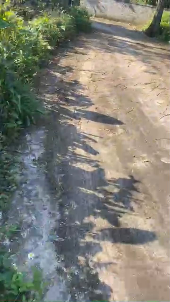 Mảnh vườn 3 mặt tiền tại Bình Sơn, Lục Nam 1500m² giá chỉ 1 tỷ - Sẵn sàng ở ngay!