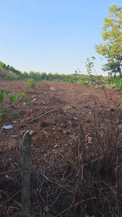 Đất nền An Bình, Phú Giáo 2481m² giá 1 tỷ - Cơ hội đầu tư tuyệt vời!