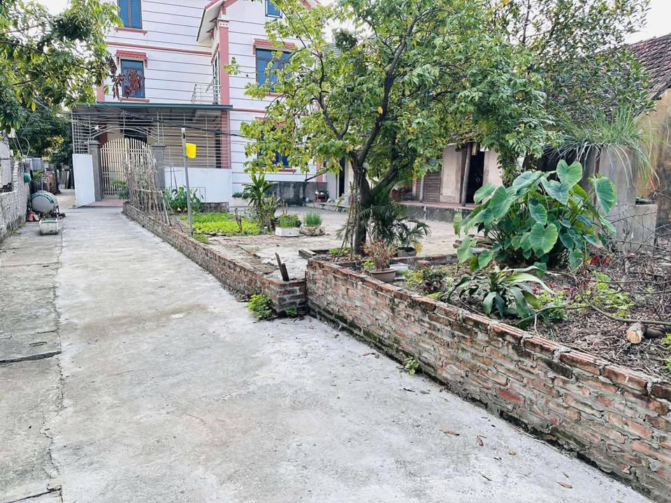 Đất thổ cư An Thượng Hoài Đức 41m² giá 2 tỷ - Sẵn sàng sở hữu ngay!