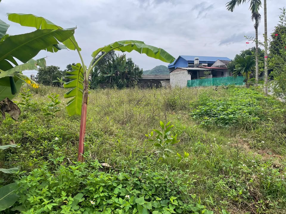 Đất nền 2000m² Tân Cương, Sông Công chỉ 2.05 tỷ - Cơ hội đầu tư hấp dẫn!