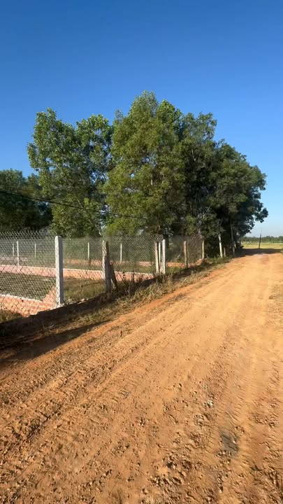 Đất nền ấp Long Phú, xã Long Chữ, Tây Ninh 145m² giá chỉ 225 triệu - Cơ hội đầu tư hấp dẫn!