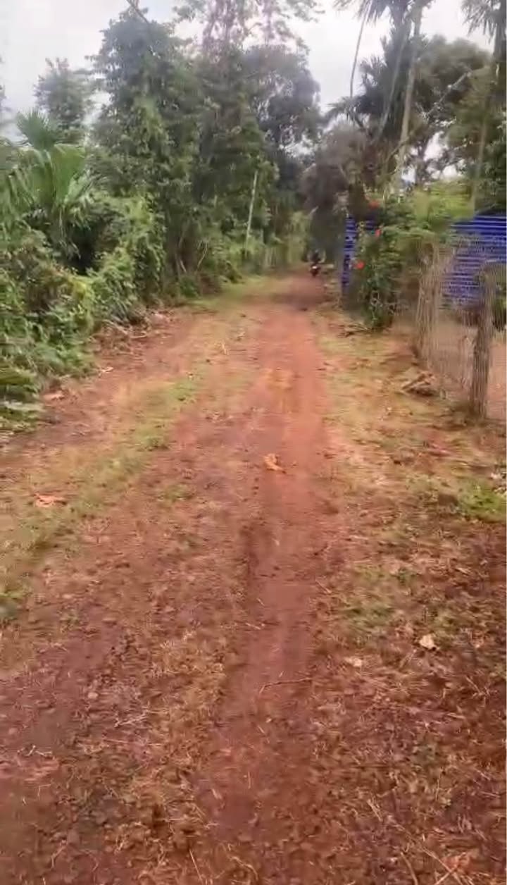 Đất nông nghiệp 4 sào tại Tân Lập, Buôn Ma Thuột - Chỉ 750 triệu/sào, đầu tư sinh lời!