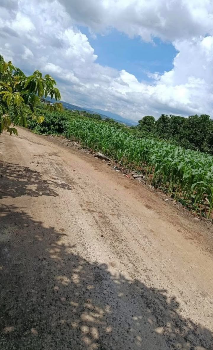 Đất sào Tân Hội 4000m² giá 2.9 tỷ - Cơ hội đầu tư tuyệt vời!