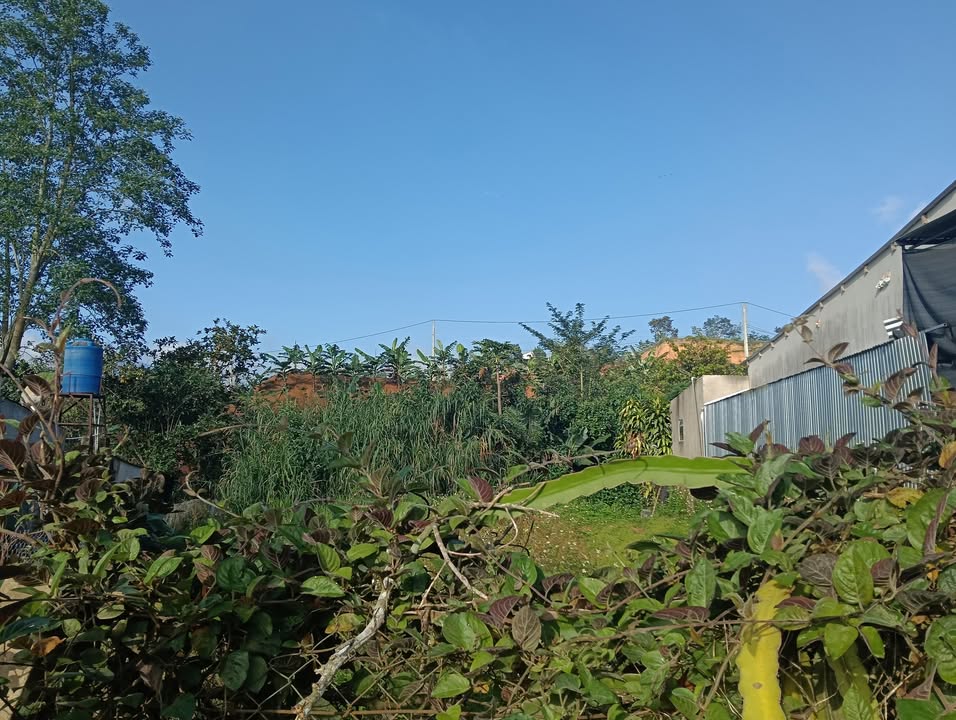 Đất nền Bảo Lâm 250m² giá 2.7 tỷ - Mặt tiền Quốc lộ 55, cơ hội đầu tư hấp dẫn!