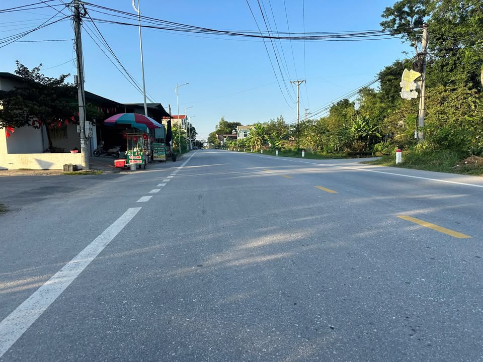 Đất kinh doanh mặt tiền Tỉnh Lộ 305, Văn Quán, 168m² - Cơ hội đầu tư tuyệt vời!