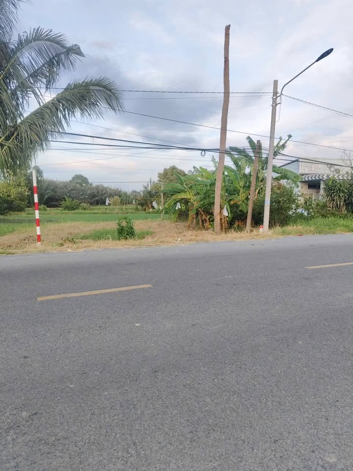 Đất cây lâu năm 700m² mặt tiền đường 940, Ấp Tam Hòa - Giá 900 triệu