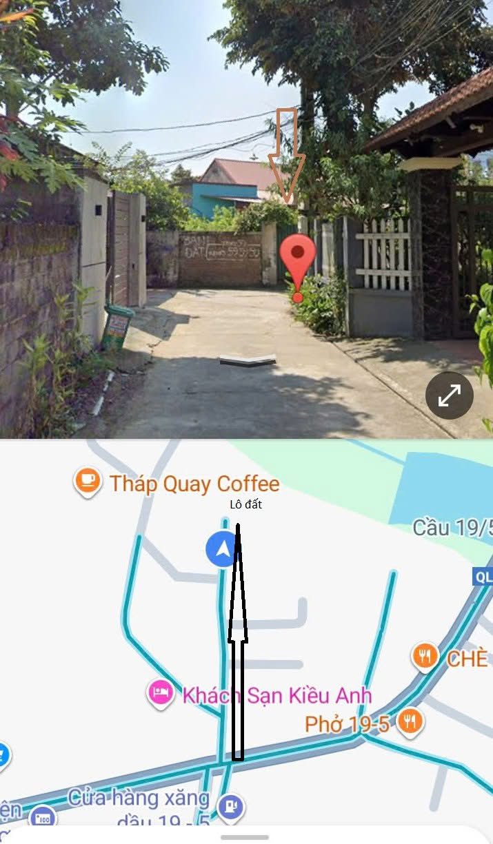 Đất thổ cư 100m² đường 19/5, huyện Thanh Sơn - Cơ hội đầu tư tuyệt vời!