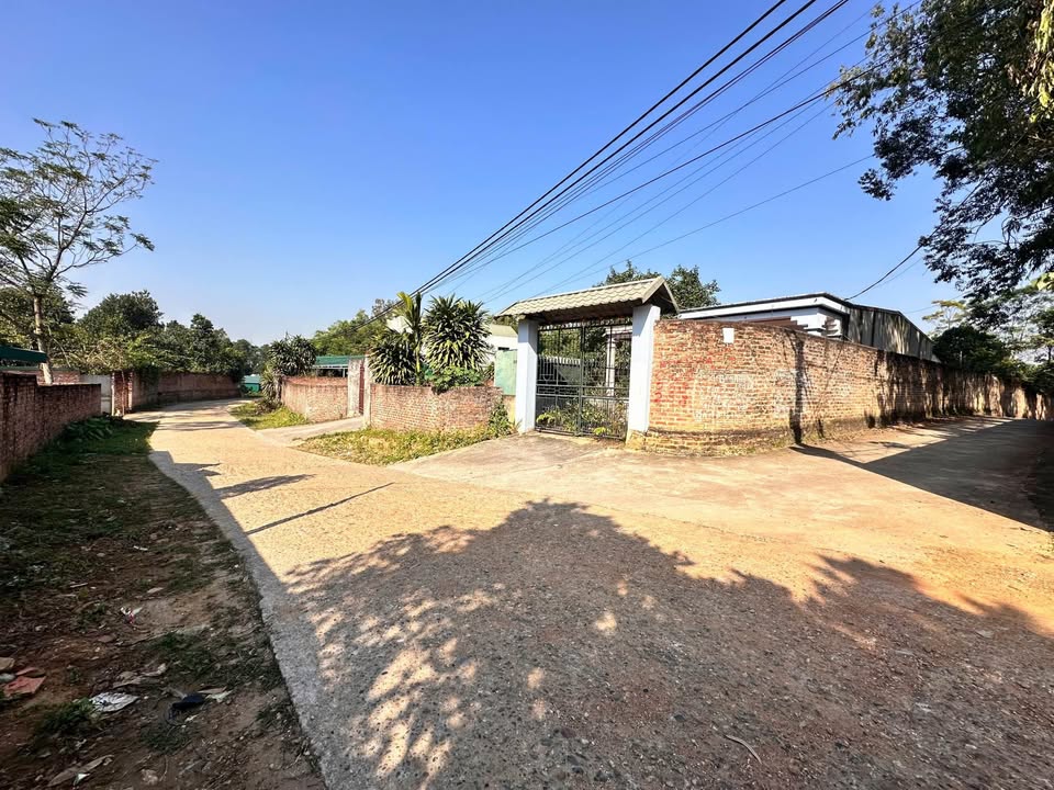 Đất lô góc Khu 9, Kim Đức, Việt Trì 202m² giá 2.6 tỷ - Nhà cấp 4 có sẵn!