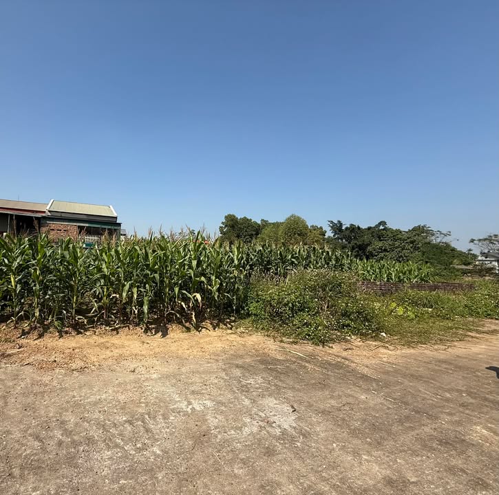 Đất nền khu Hóc Đài - Chu Hóa, Việt Trì 117m² giá 1.6 tỷ - Đầu tư tiềm năng!