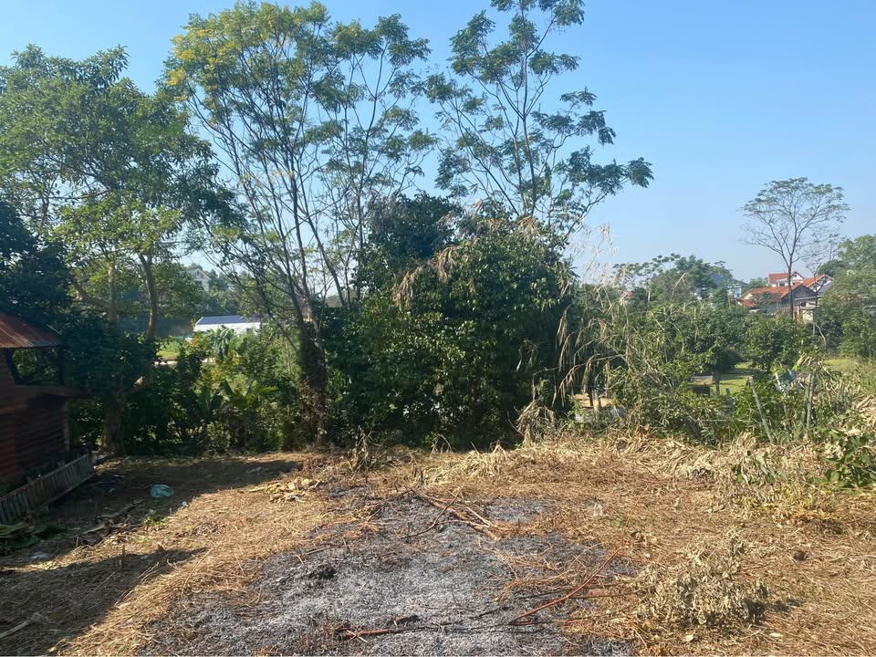 Đất nền 400m² xã Thanh Đình, Phú Thọ - Giá chỉ 3.5 tỷ, đầu tư sinh lời!