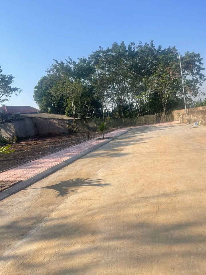 Đất ở Cao Xá, Tân Yên 113m² giá thỏa thuận - Cơ hội đầu tư lý tưởng!