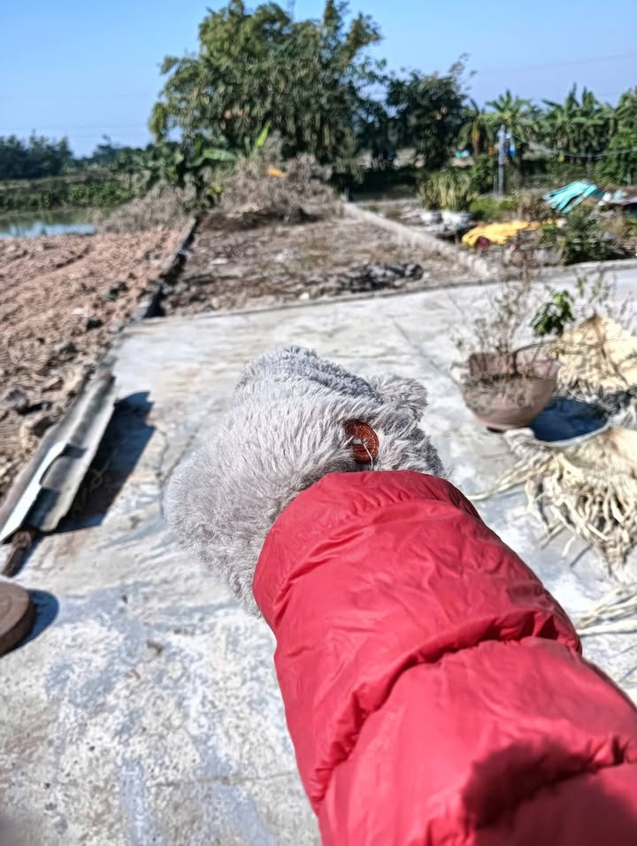 Đất nền Thôn Quế Sơn, xã Dân Hòa, 47.9m² giá 2 tỷ - Tiềm năng phát triển lớn!