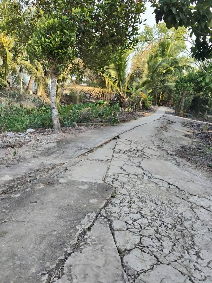 Đất nền Bình Phước, Mang Thít 200m² giá 250 triệu - Sổ hồng chính chủ, thương lượng!