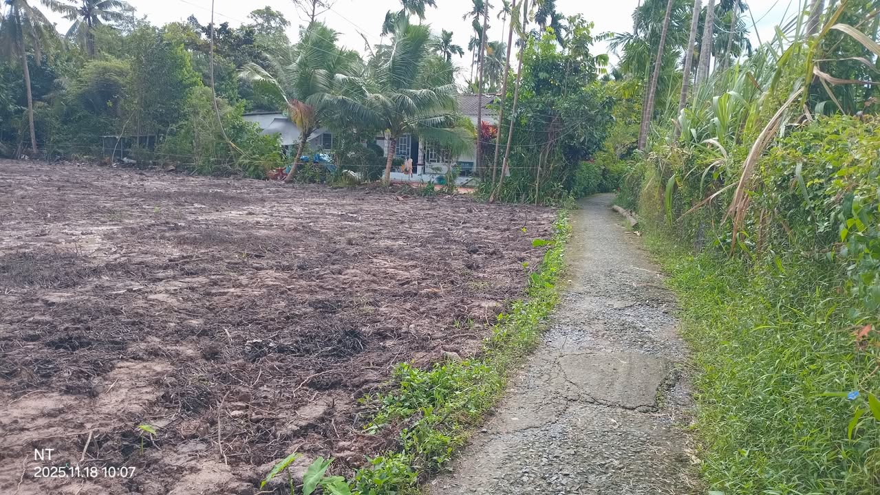 Đất nền Ngãi Tứ, Tam Bình 3000m² chỉ từ 200 triệu - Đầu tư sinh lời ngay!