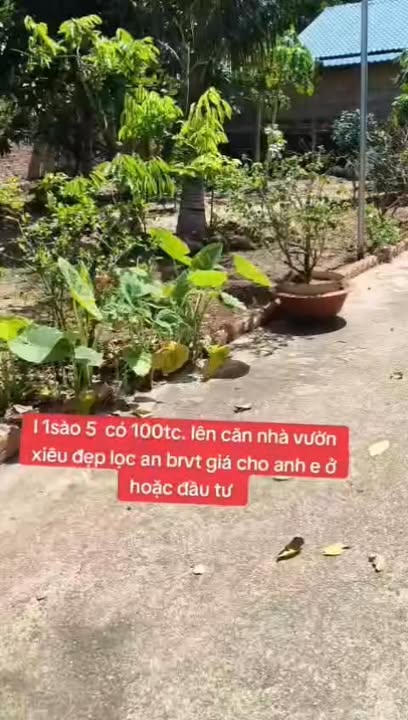 Nhà vườn Lộc An, xã Phước Hải, Bà Rịa - Vũng Tàu 5400m² giá 6.5 tỷ - Tiện nghi gần biển!