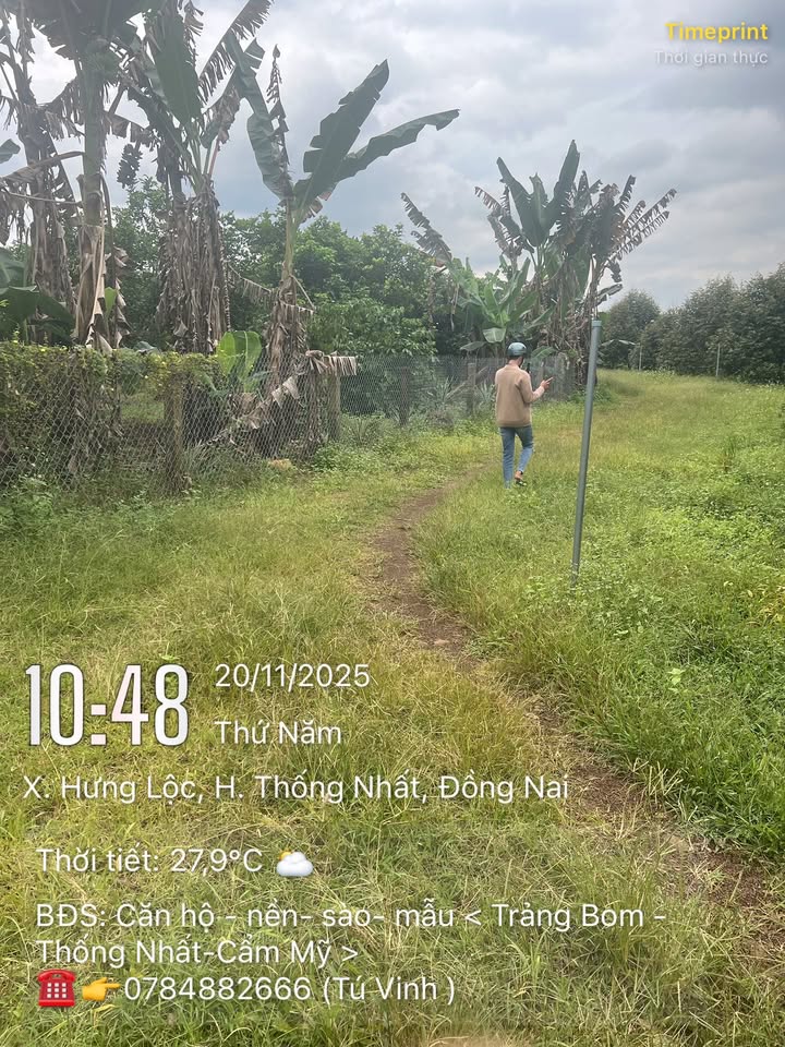 Farm sầu riêng 2240m² xã Dầu Giây - Đất đẹp, vị trí thuận lợi