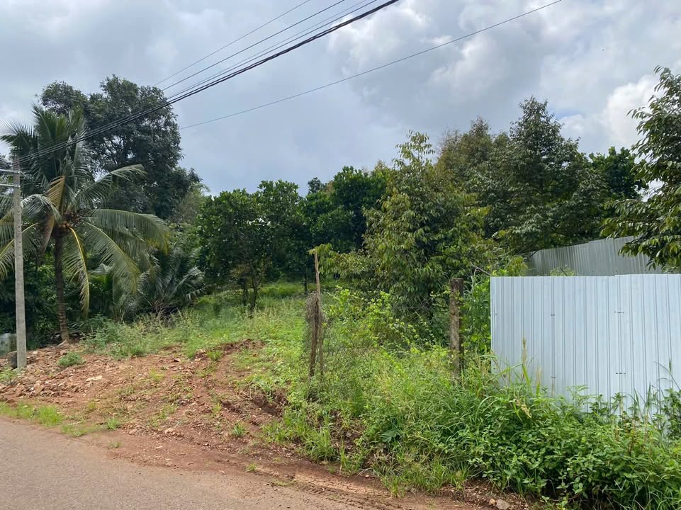 Đất nền mặt tiền Nhựa 20x60m tại Xuân Lập, Long Khánh chỉ 2.6 tỷ - Đầu tư sinh lời ngay!