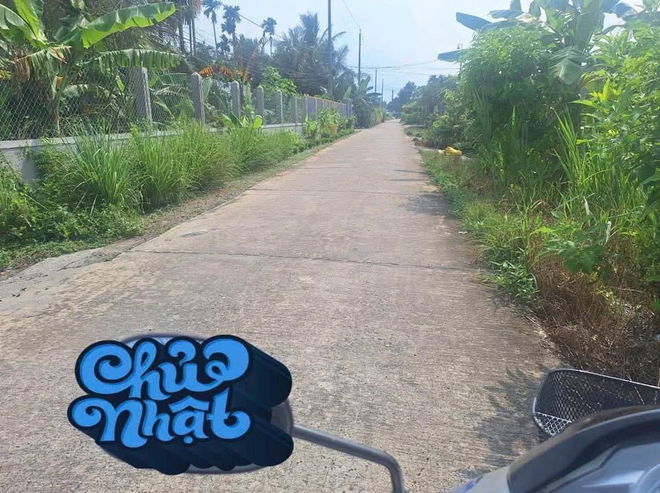 Đất lúa 783m² mặt tiền Lê Minh Xuân Nhơn Thạnh Trung giá 1.1 tỷ - Cơ hội đầu tư hấp dẫn!