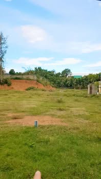 Đất thổ cư Hoài Tân 115m² giá 800 triệu - Đầu tư sinh lời tuyệt vời!