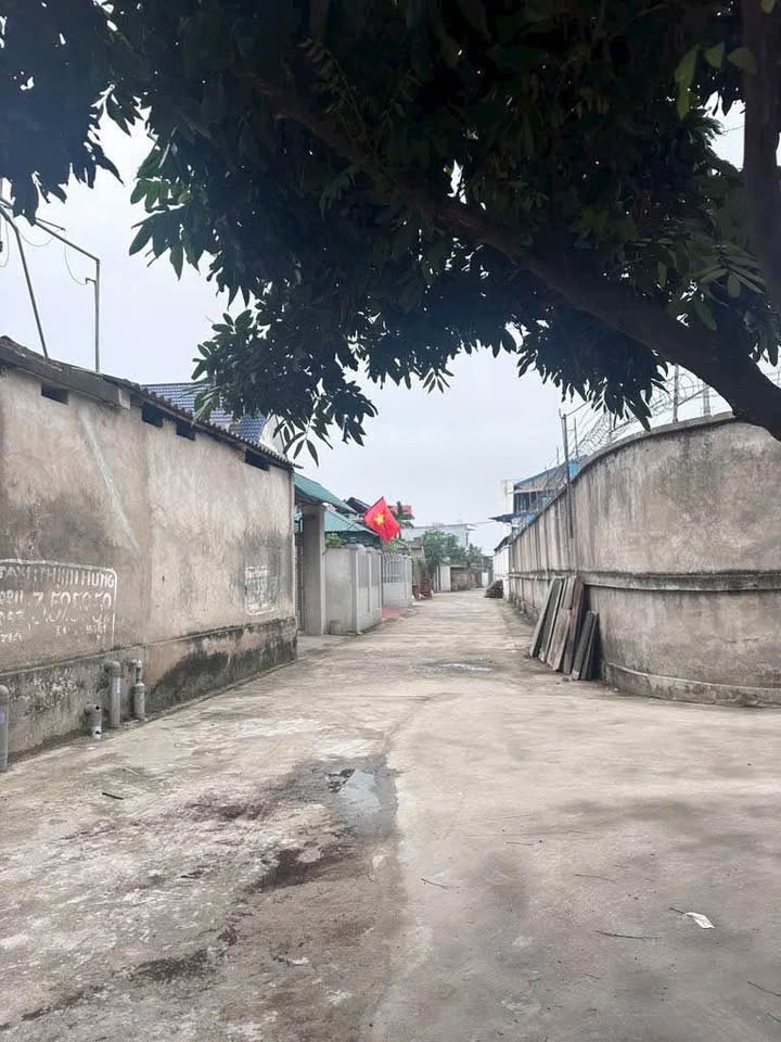 Đất đẹp Thanh Xuân - Sóc Sơn 145m² giá thỏa thuận - Cửa ngõ sân bay Nội Bài!