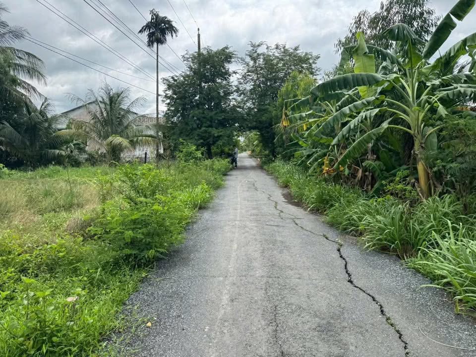 Đất thổ cư An Lục Long, Châu Thành 225m² giá 600 triệu - Mặt tiền đường nhựa