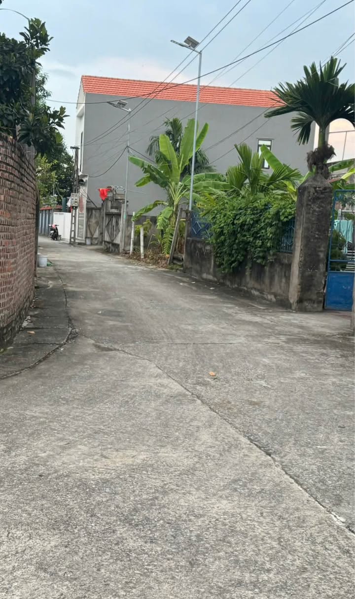 Đất thổ cư Ninh Xá, Thuận Thành 50m² giá 10 tỷ - Đường ô tô vào tận nơi!