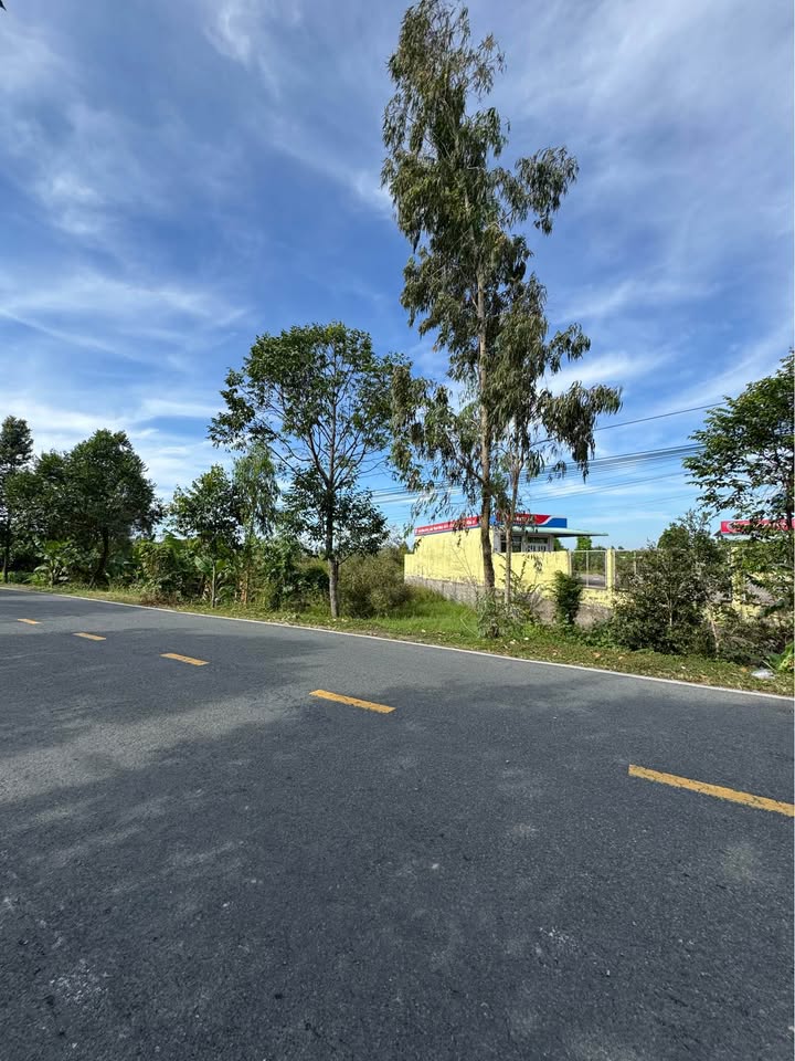 Đất 2 mặt tiền Tỉnh Lộ 856, Cao Lãnh 5.500m² giá 8.5 tỷ - Đầu tư sinh lời ngay!