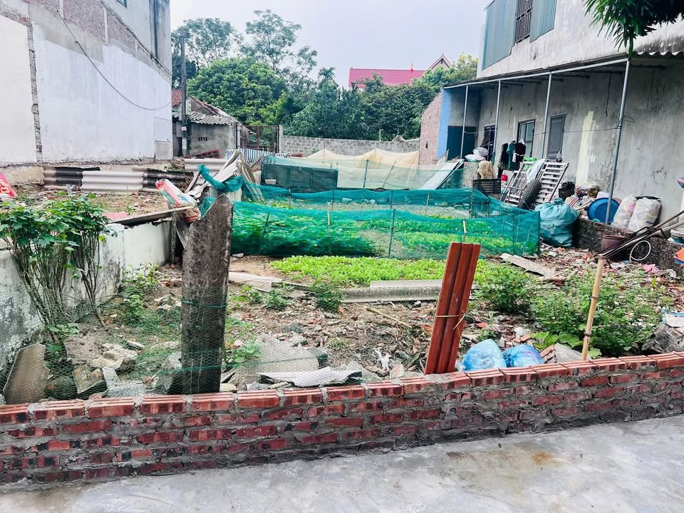 Đất thổ cư 62.5m² xã Đông Yên, Quốc Oai giá 2 tỷ - Gần chợ và trường học!