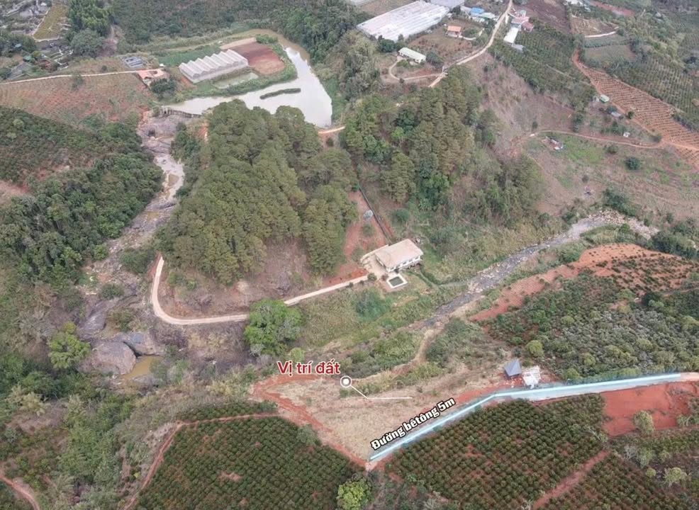 Đất nền xã Mê Linh, Lâm Hà 1000m² giá 1.5 tỷ - View đồi thông tuyệt đẹp!