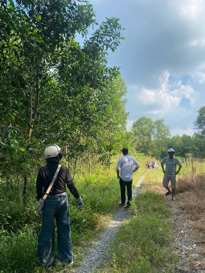 Đất nền Suối Cao 1000m² giá chỉ 200 triệu - Cơ hội đầu tư sinh lời!