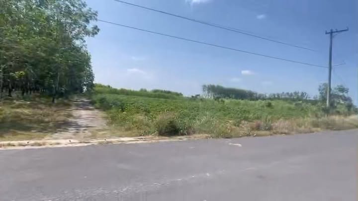 Đất nền 1000m² tại ấp Phượng Vỹ, Xuân Lộc chỉ 200 triệu - Cơ hội vàng cho bạn!