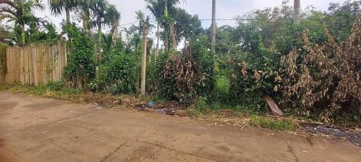 Đất thổ cư Phú Xuân 565m² giá 75 triệu - Chính chủ, vị trí đẹp!