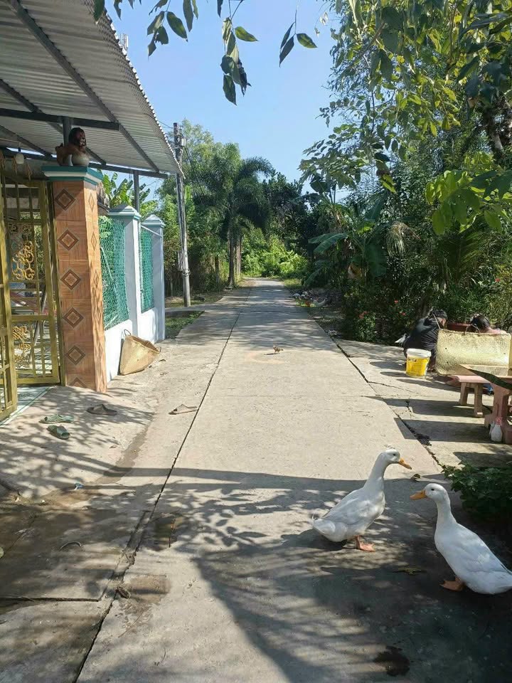 Đất nền Giai Xuân, Phong Điền 100m² giá 520 triệu - Đầu tư sinh lời lý tưởng!