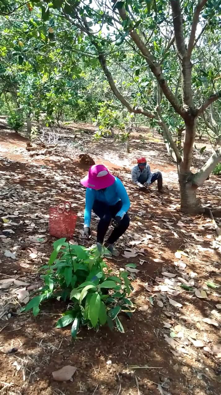 Đất nền xã Phước Sơn, Bù Đăng 5ha giá 1.4 tỷ - Cơ hội đầu tư tuyệt vời!