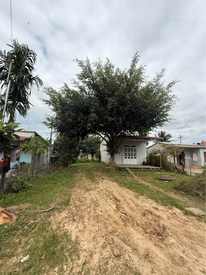 Đất nền Hòa Sơn, Krông Bông 634.5m² giá 1.35 tỷ - Mặt tiền Quốc lộ 27, kinh doanh thuận lợi!